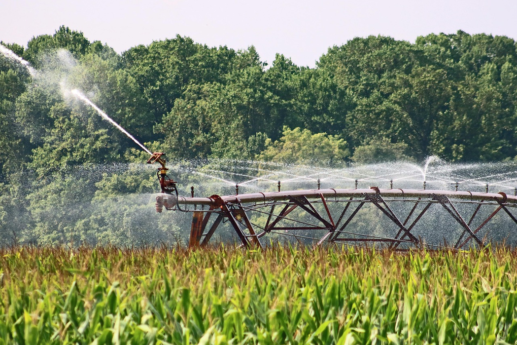Bewässerungsanlage auf einem Feld