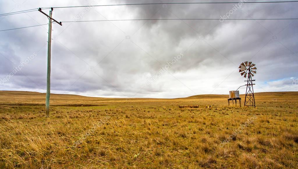 Tränkesysteme in der Landwirtschaft